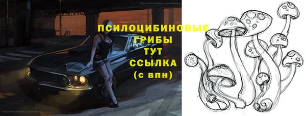 мяу мяу мука Алексеевка