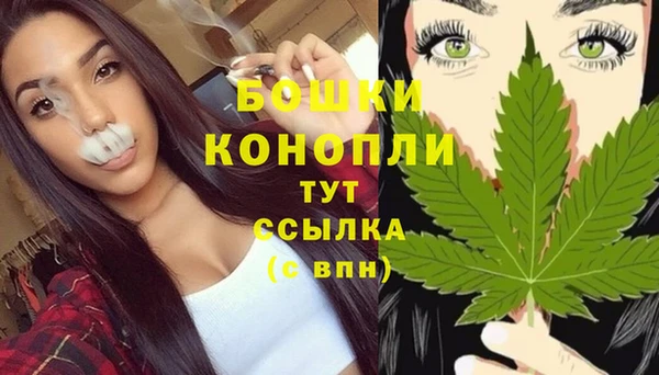 молекула духа Аркадак