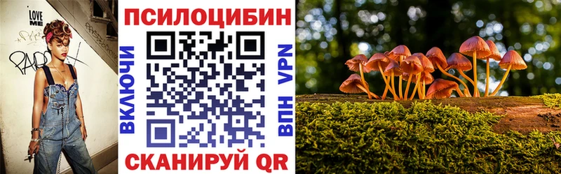 Купить закладки  Спас-Клепики  Псилоцибиновые грибы Psilocybine cubensis 